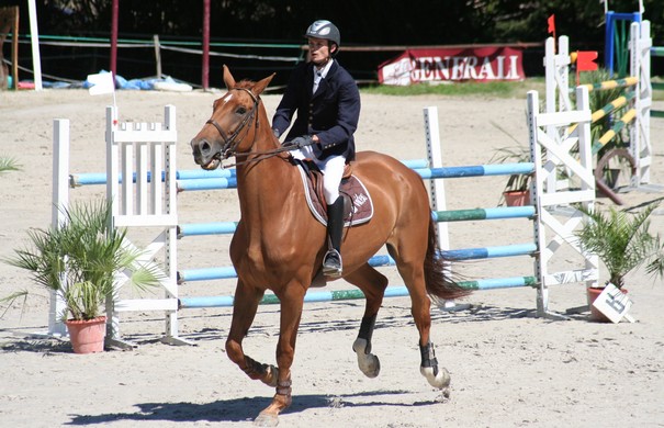 Concours Hippique National à Sciez sur Léman du 8 au 17 Août