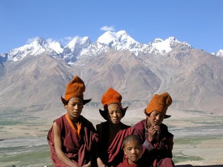 moinillons du Zanskar