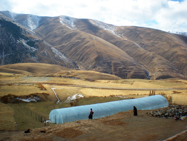 Projet-Serre-Tibet-Novembre-2013
