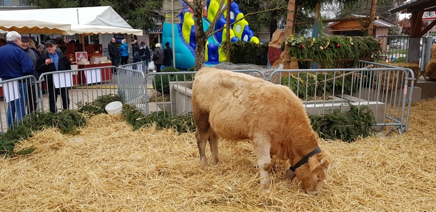 7ème édition du Marché de Noël