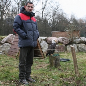 L'aigle Sherkan et son maître fauconnier 