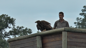 Parc animalier Les Aigles du Léman