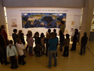 Musée de Préhistoire : Exposition Darwin