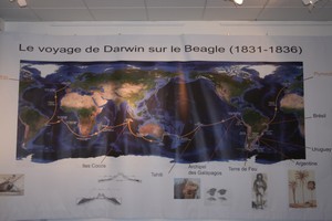 exposition temporaire ‘de Darwin 
