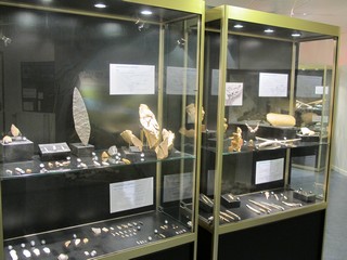 Musee-Prehistoire-Mai-2014