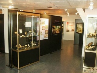 Musée de Préhistoire et de Géologie Jean Hallemans