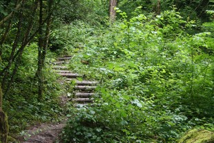 découverte du Sentier des Métamorphoses 